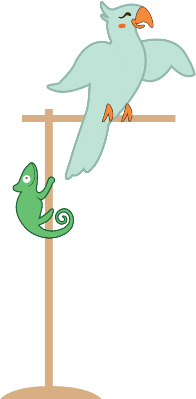 bird