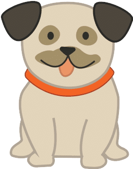pug