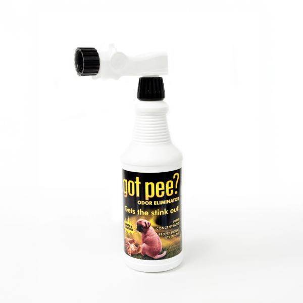 Econo Foam Sprayer