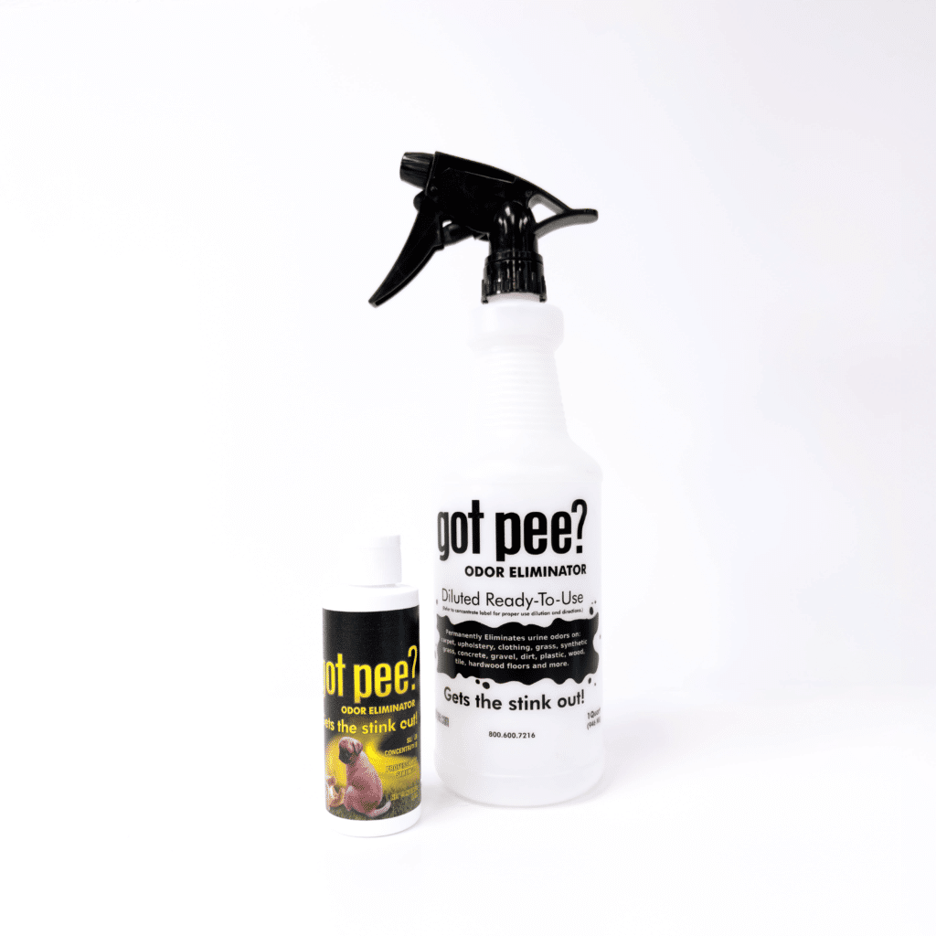 Dog Pee Odor Eliminator Diy Dog Pee Odor Eliminator Diy