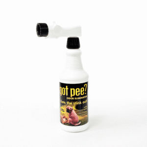 Econo Foam Sprayer