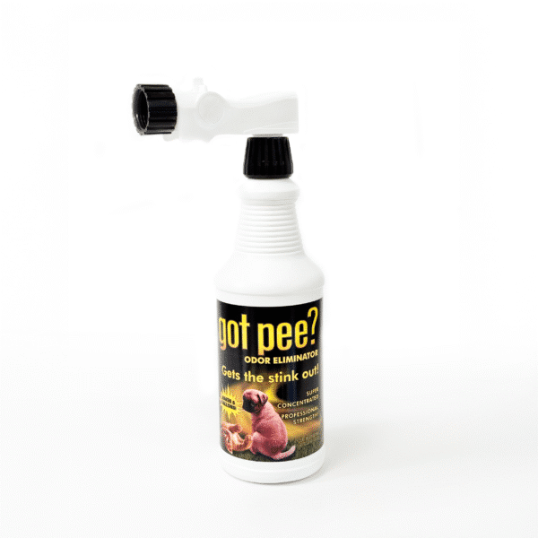 Econo Foam Sprayer